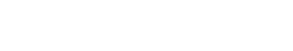 AI Conform Logo white