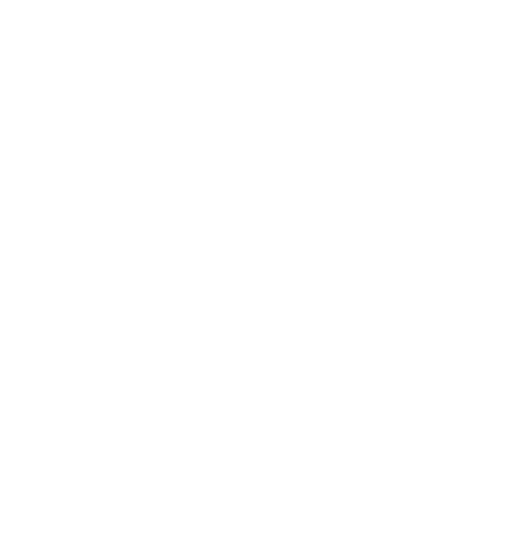 AI Conform favicon white